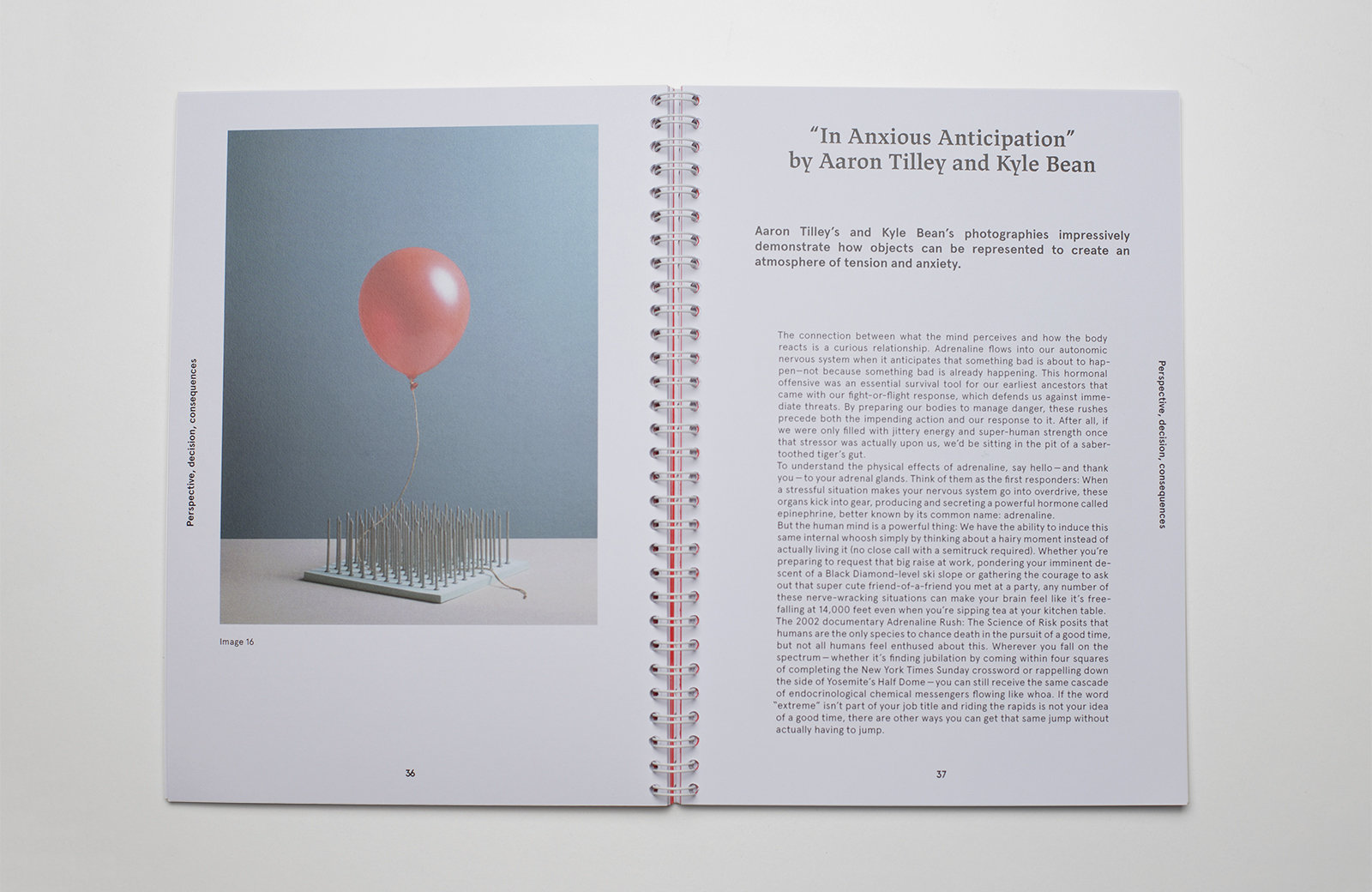 Spoilt for Choice? 5